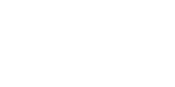 다이렉트 벳 logo